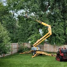 Leaf Removal in Kingston Springs, TN